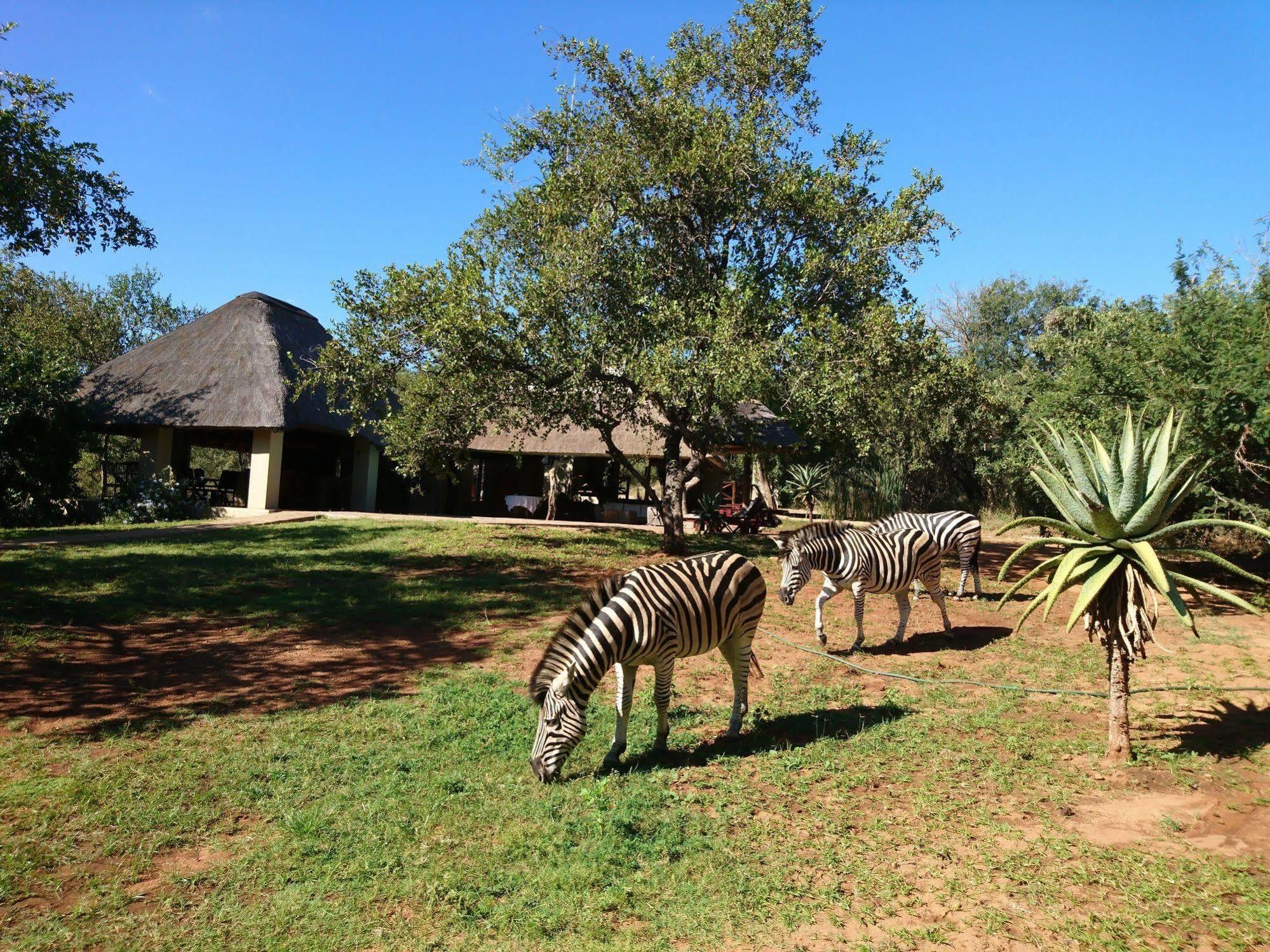 Royal Kruger Lodge Marloth Park Bagian luar foto